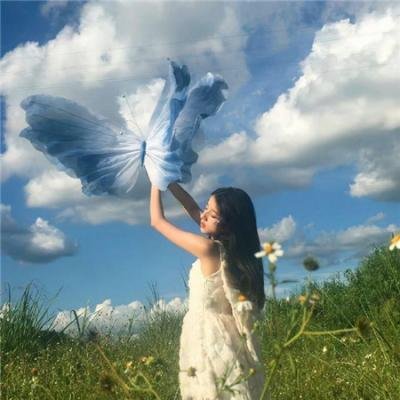 多彩人生 在线观看