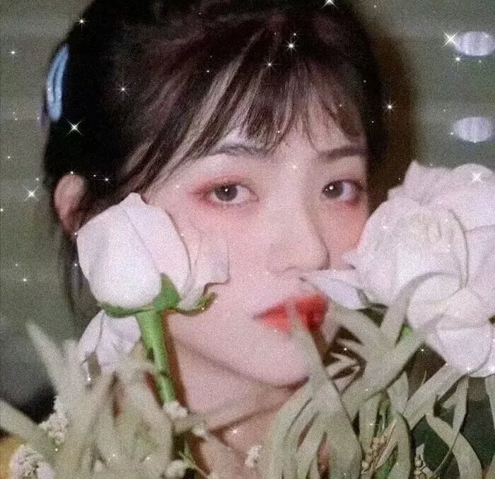 五个女人 在线观看